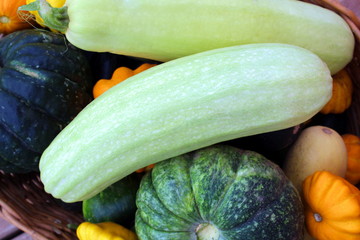 texture fresh harvesting fresh vegetables in autumn