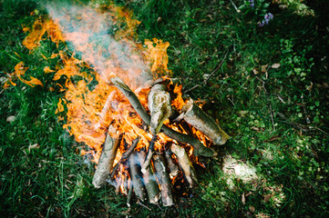 Campfire on the nature.