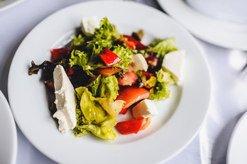 Gourmet salad in a white plate. Slices of cheese, tomato, lettuce..White plate on white table. Food. Holiday. Food.