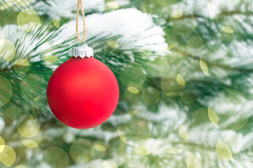 Red ball on snowy tree and bokeh effect with free space for your text. Christmas and New Year decoration. Design for backgrounds, greeting cards and websites.
