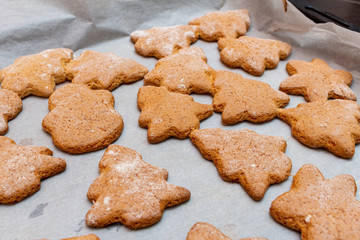 Christmas New Year traditional homemade cookies biscuit stars and spruce shape preparation process