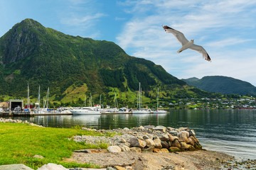 Rosendal rural town, yachr marina and mountain fjord sea view, Norway