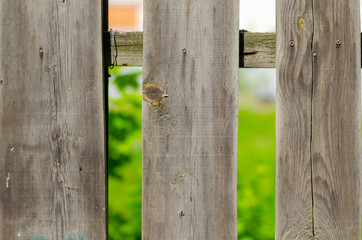 Structure of wooden boards nearby.Fence of boards