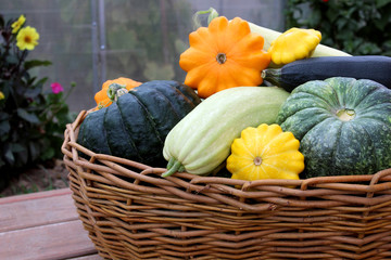 basket with fresh harvested vegetables harvested in autumn