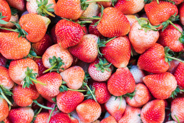 background from freshly harvested Thai strawberries type 80