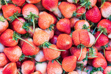 background from freshly harvested Thai strawberries type 80