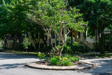 Small Roundabout in the Street in Edgewater Chicago © James