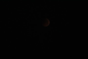 blood moon in the sky