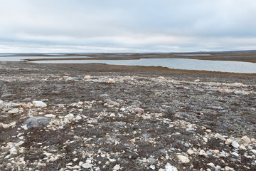 Tundra Landscape on Victoria Islands