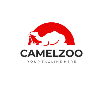 Camel on a background of the sun logo design. Camel sitting in desert vector design. Wild animal logotype