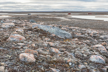 Tundra Landscape on Victoria Islands