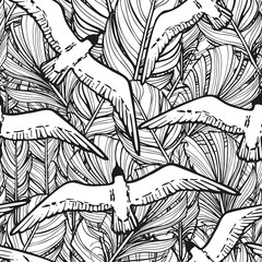 monochrome seamless pattern from hand drawn feathers of birds and flying seagulls