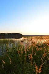 Autumn sunset in Puolanka Finland. Lake, grass, bright sky and last sunbeams. Little island on background.