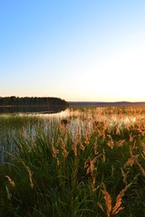 Autumn sunset in Puolanka Finland. Lake, grass, bright sky and last sunbeams. Little island on...