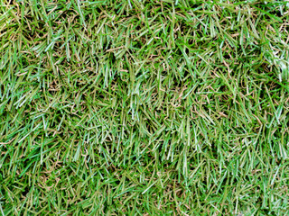 Close up Artificial Fake Grass Field Top View Texture