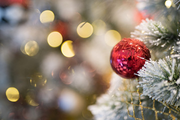 Red christmas ball hanging on the chrismas tree