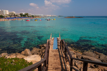 Fototapeta premium Fig Tree Bay
