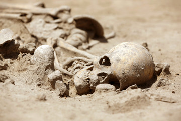 Skeleton skull archeology
