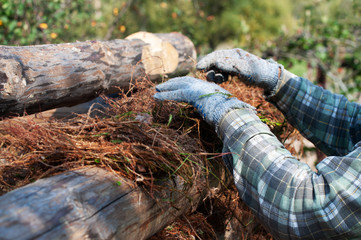 Assembly of a log cabin