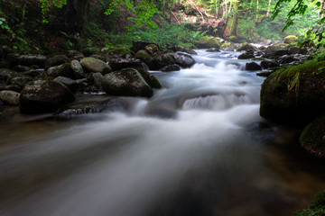 The calm stream in Apuseni Mountains