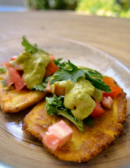 fried banana accompanied by guacamole, vegetables and meat