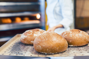 Baker showing her fresh bread she just got out of the oven