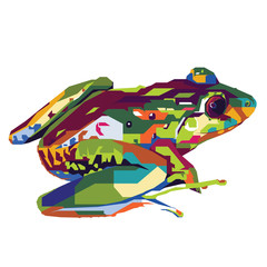 Cute and funny frog vector pop art full colours