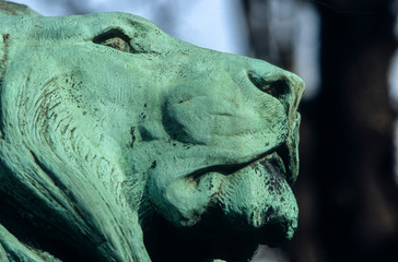 Fototapeta na wymiar Sculpture de lion