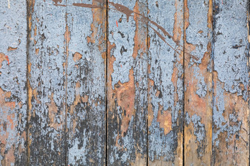 Wooden background of old grey-painted boards. The paint cracked and circled from old age. Bare boards are visible in places