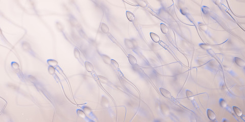3d rendered illustration of human sperm - obrazy, fototapety, plakaty