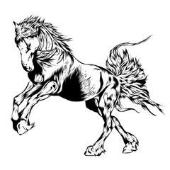 jumping horse line art vector