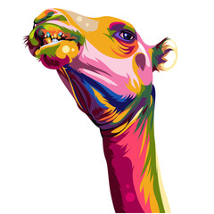 Cute and funny camel vector pop art full colours