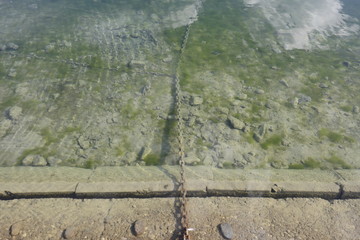 Chain in a harbor in green water