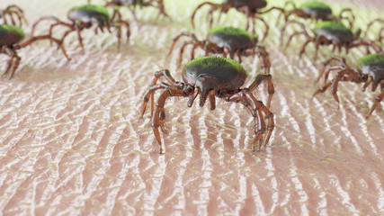 3d rendered illustration of a group of ticks crawling on human skin