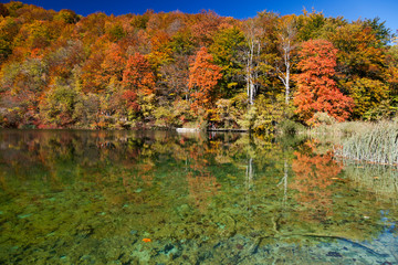 Autumn on Plitvice Lakes, Croatia