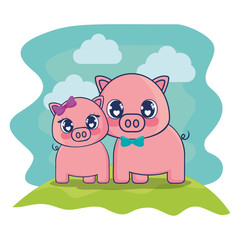 cute pigs couple characters vector illustration