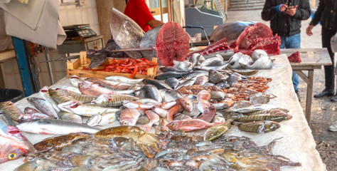 many different fish in the market