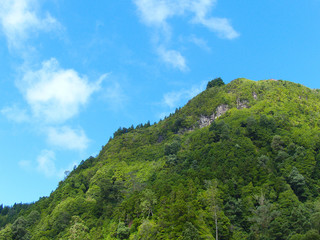 Fototapeta na wymiar Lush cliffside against the blue sky