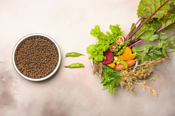 Special vegan pet food and natural raw ingredients on light grey background. Flat lay.