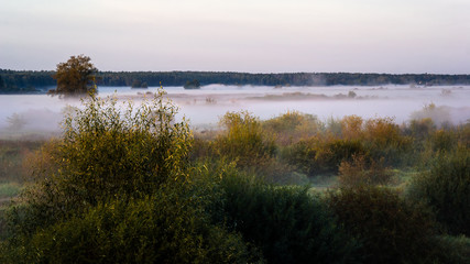 Poranne mgły w Dolinie Narwi, Podlasie, Polska