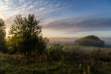 Poranne mgły w Dolinie Narwi, Podlasie, Polska