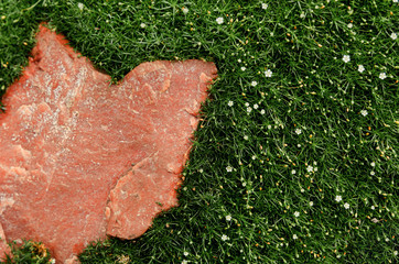 Fresh wet green moss, white small and pink granite (stone) flowers on the ground in a summer garden