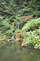Waterfall in Japanese Garden