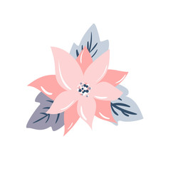 Isolated vector illustration of a christmas star flower poinsetia, pastel color