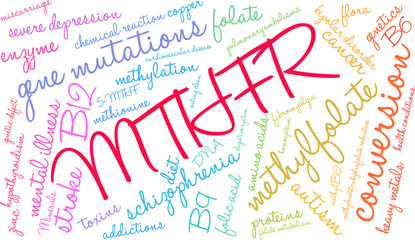 MTHFR Word Cloud on a white background. 