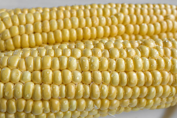 Corn cob close up, yellow corn kernels background. Picture of ripe corn