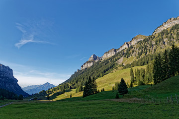 Fototapeta na wymiar Montagne Suisse