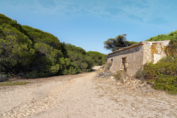 Altstadt. Ruine. Portugal.