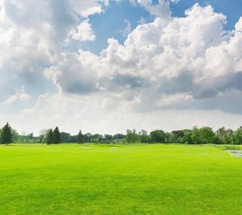 green field and blue sky