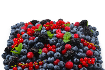 Blackberry, raspberry, blueberry,  red currant and mint background.